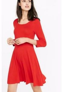 Express Skater Dress